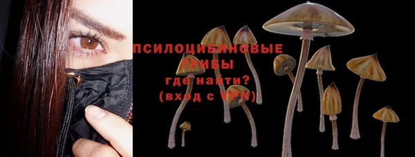 бошки Аркадак