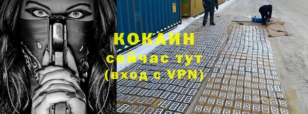 прущие грибы Армянск