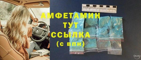 прущие грибы Армянск