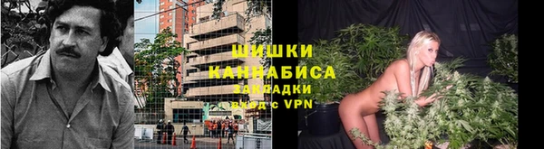 бошки Аркадак